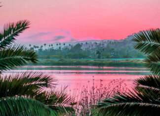 Pink summer sky over lake with palm trees and lush greenery in high definition