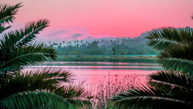 Pink summer sky over lake with palm trees and lush greenery in high definition
