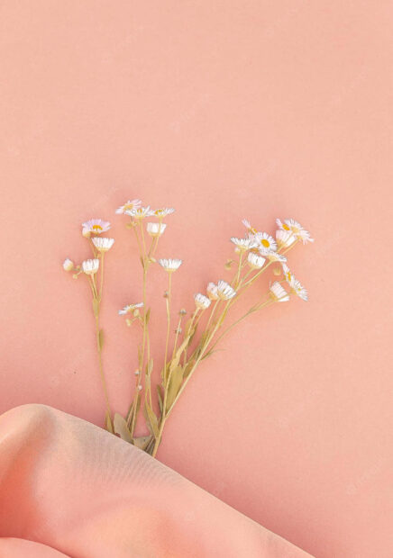Delicate summer daisies on a soft pink fabric background with a gentle pastel tone