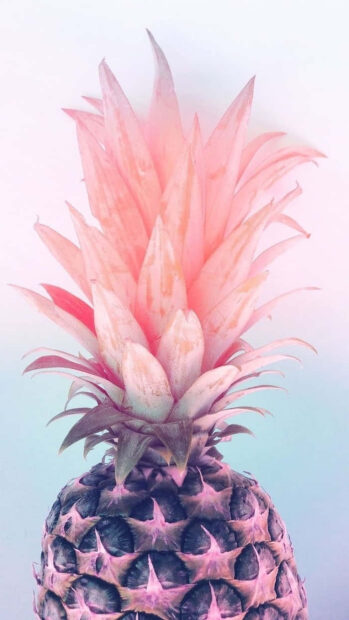 A pink pineapple with a summer vibe captured in soft pastel tones