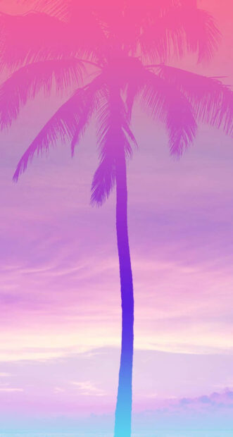 A pink summer scene featuring a palm tree under a vibrant sky