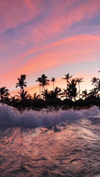 Pink summer sky with palm trees and ocean waves during sunset
