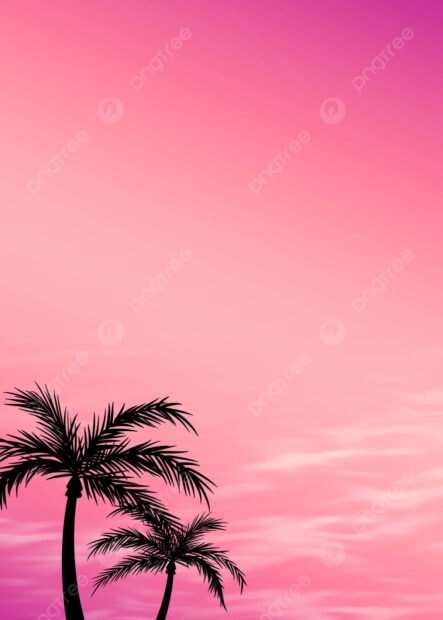 Pink summer with palm tree silhouettes and a vibrant sky