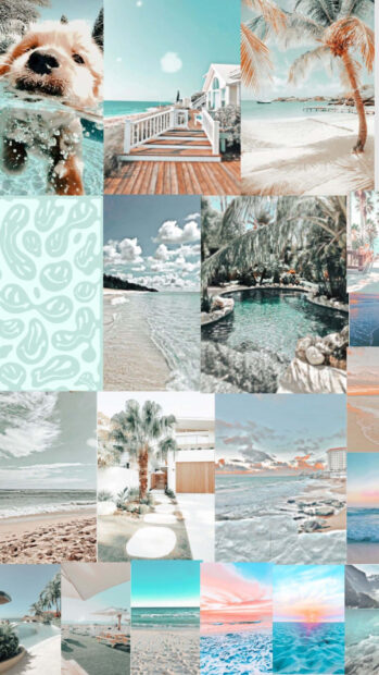 A preppy summer scene with palm trees and a clear blue sky on a peaceful beach