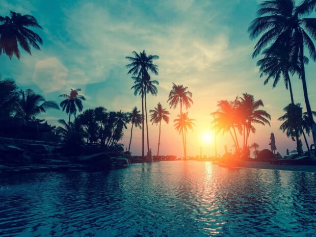 Tropical sunset with palm trees over the shimmering water surface
