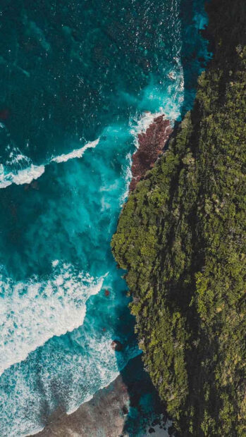Aerial view of coastal forest meeting clear blue ocean waves at summer coastline