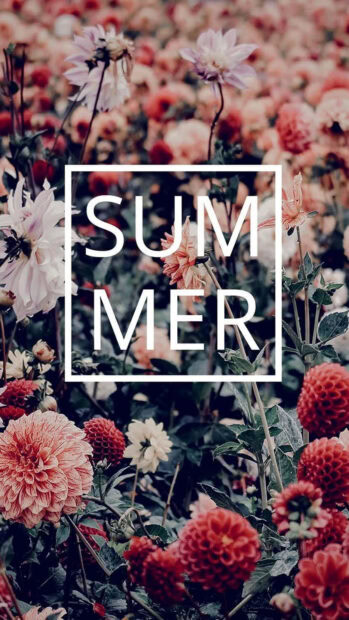 Beautiful summer flowers blooming in a garden with soft pastel colors and natural greenery