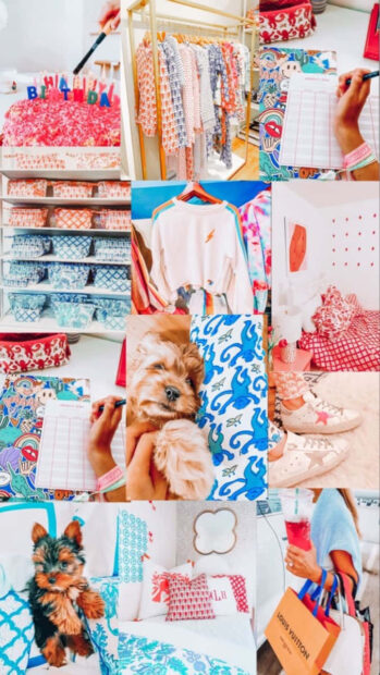 Cozy summer fashion and lifestyle scene featuring dogs clothes and accessories