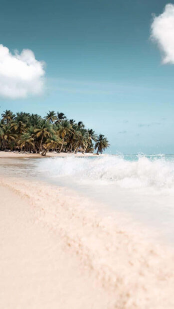 Tropical summer beach with palm trees and waves on sandy shore