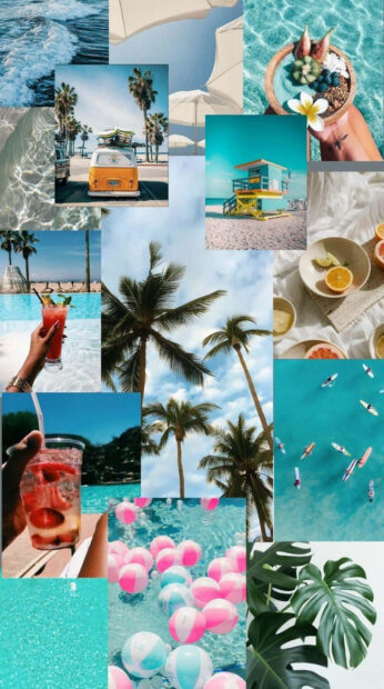 Tropical palm trees and beach scenes with refreshing summer vibes in bright blue skies and water