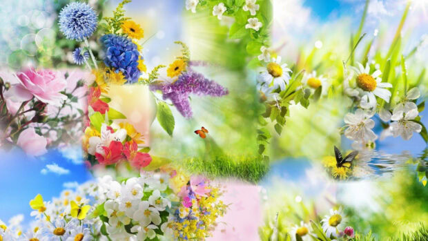 Colorful flowers and butterflies create a vibrant spring aesthetic scene with blooming flowers and green leaves