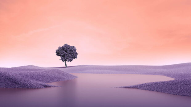 Purple tree standing alone on a spring landscape with lavender fields and soft pastel sky