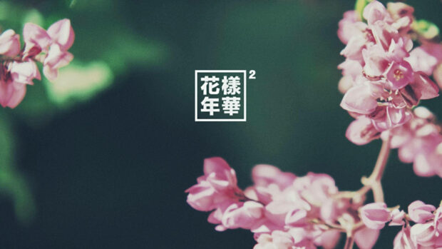 Pink lilac flowers blooming in green spring garden with soft focus and bokeh background