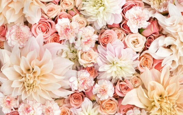 Soft pink and white flowers blooming in a delicate spring arrangement