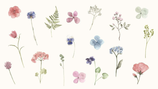Delicate spring floral illustration featuring various flowers and leaves on a light background
