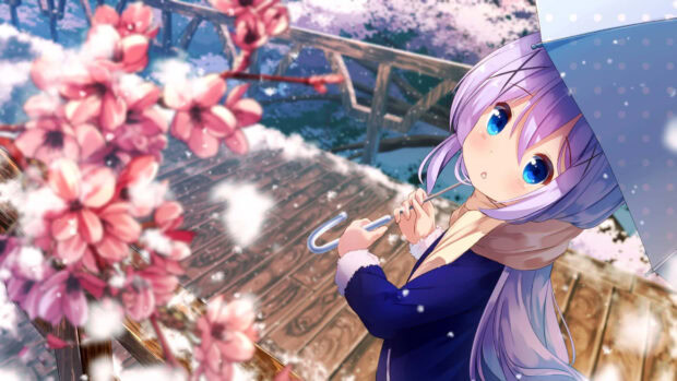 spring anime