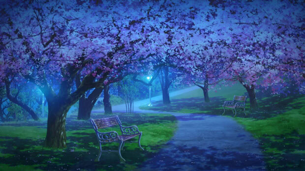 A peaceful spring scene with cherry blossom trees and empty benches along a park path at dusk