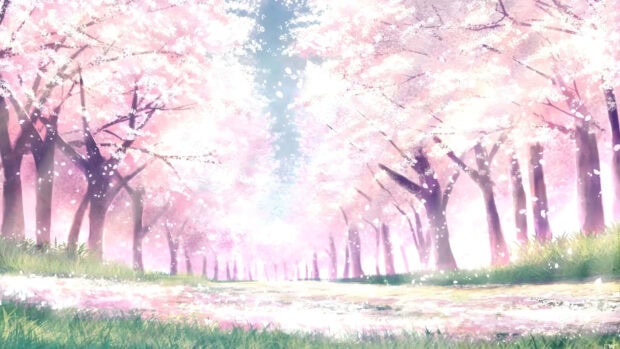 Beautiful spring scenery with blooming cherry trees in anime style