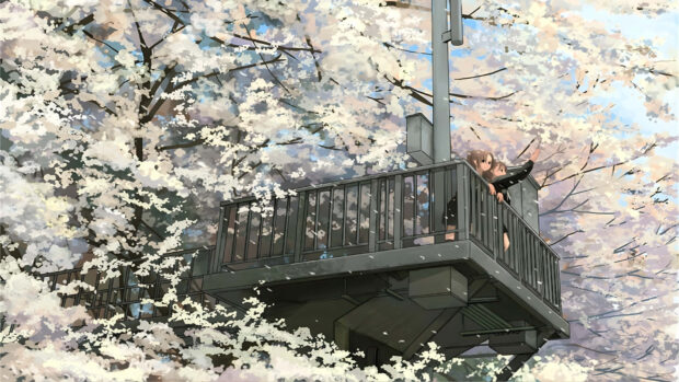 Two anime characters enjoying spring blossoms on an observation deck among cherry trees