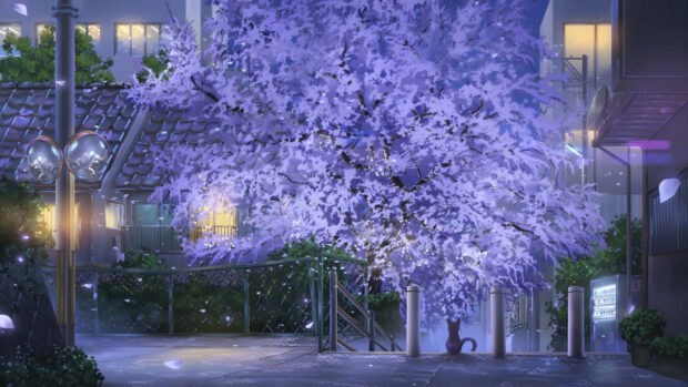 A peaceful spring street scene with blooming tree and a sitting cat at dusk