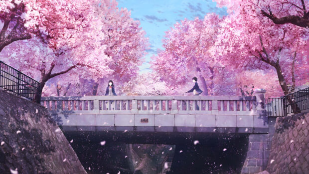 Two characters standing on a bridge surrounded by cherry blossom trees in spring anime
