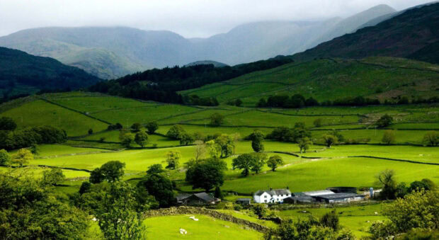 A peaceful spring landscape with lush green fields and rolling hills in the countryside
