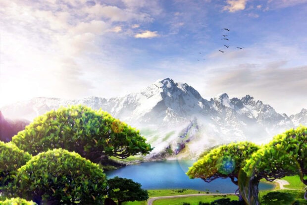 birds flying in the sky