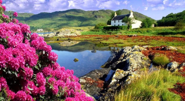 Vibrant spring landscape with blooming flowers and a peaceful countryside house surrounded by hills