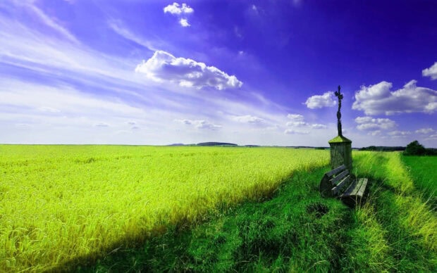 A vibrant green field under a blue sky with scattered clouds and a wooden bench near a stone cross
