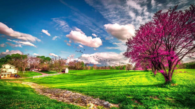 A vibrant spring landscape with green grass and blooming pink trees under a blue sky with clouds and flying birds