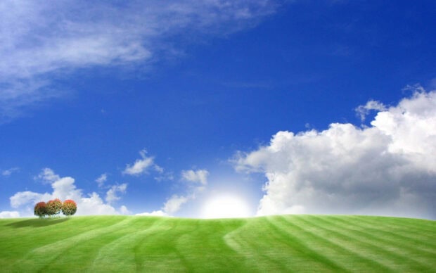 A vibrant spring landscape with green grass and colorful trees under a clear blue sky