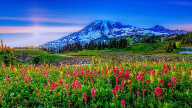 A vibrant spring landscape with wildflowers and mountain scenery in full bloom