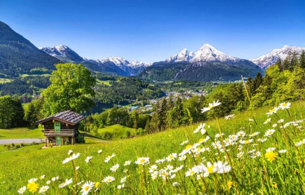 A green spring mountain landscape with blooming flowers and a wooden cabin in the valley