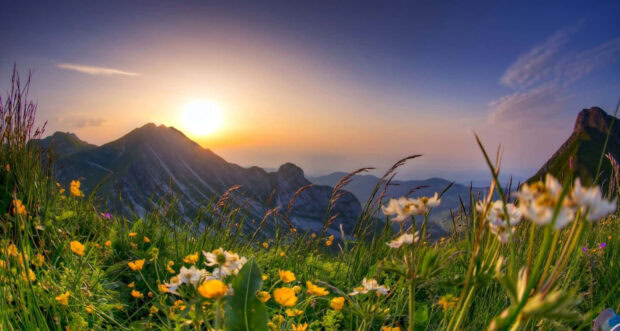 A vibrant spring mountain landscape with blooming flowers and clear sky at sunset