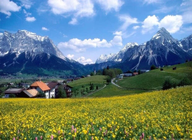 A vibrant spring mountain landscape with yellow flowers and houses under a clear blue sky