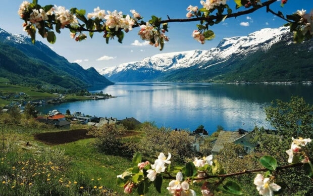 Blooming branches frame the spring mountain landscape with snow capped peaks and a serene lake view