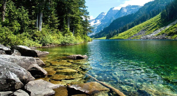 Clear water by the spring mountain surrounded by green trees and rocks