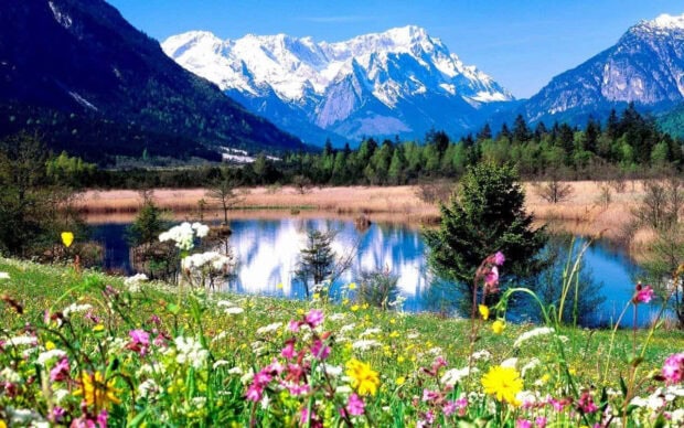 Colorful spring mountain landscape with wildflowers and a lake reflection