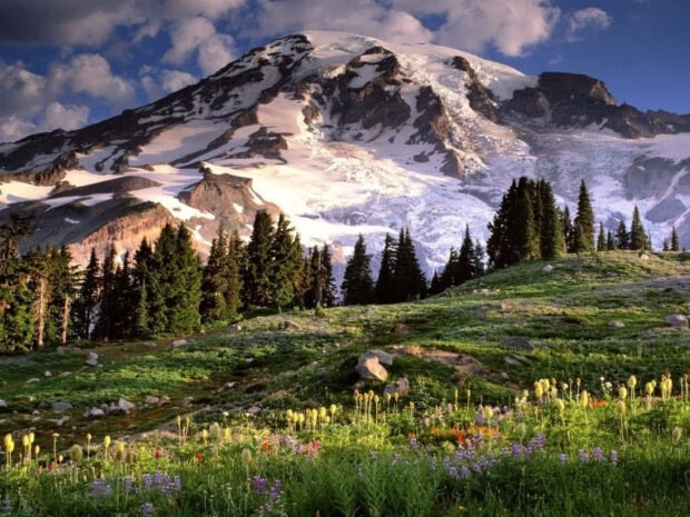 spring mountain wallpaper