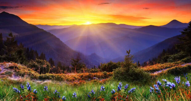 Sunrise over spring mountain with colorful flowers and lush green trees in the foreground