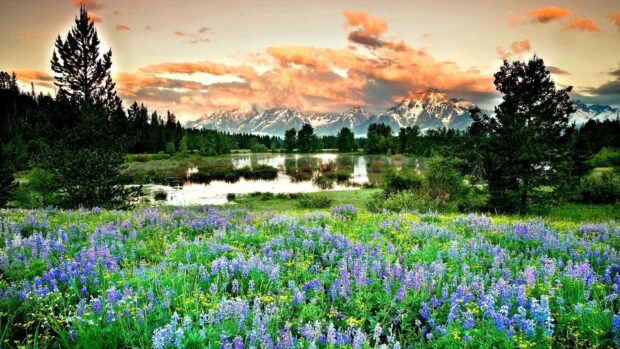 A spring mountain landscape with blooming flowers and a calm lake in high definition