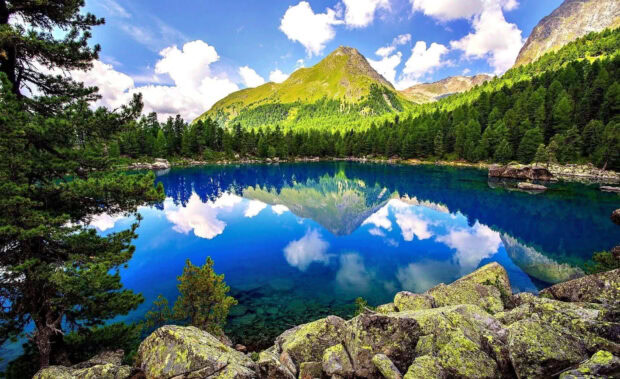 Clear spring mountain with green forest reflected in vivid lake