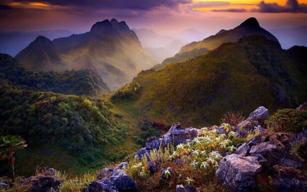 Lush mountain landscape in spring with rocky foreground and misty peaks