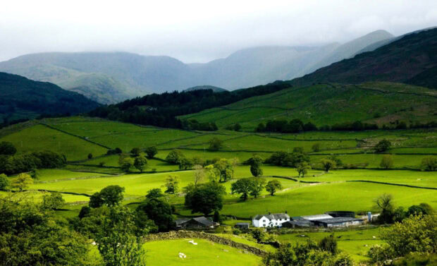 Lush spring mountain landscape with green fields and scattered trees in vibrant colors