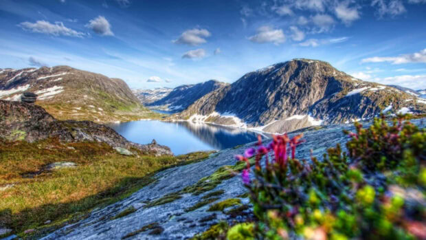 Spring mountain with blooming flowers and a clear lake under a bright blue sky in HD quality