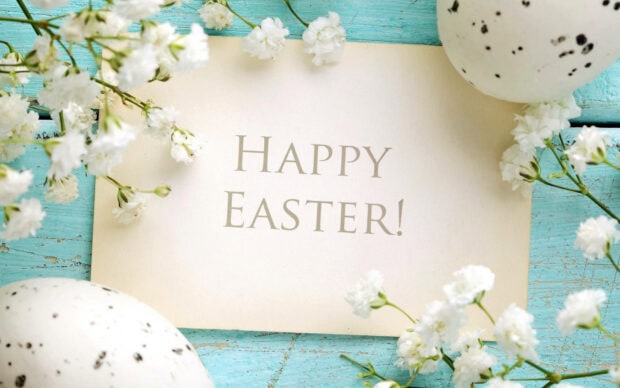 A spring greeting card with white flowers and speckled eggs on a turquoise wooden surface