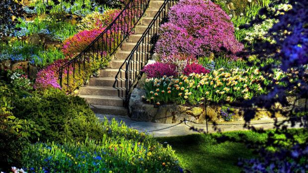 Colorful spring garden with blooming flowers and stone stairs in bright sunlight