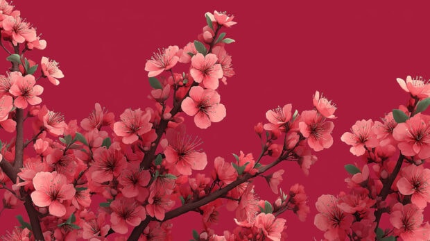 Pink spring blossoms bloom on tree branches with green leaves on a red background