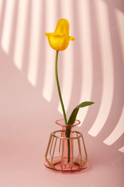 Single yellow tulip with green leaf in decorative glass vase on pink surface