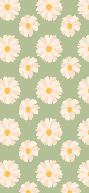 Pattern of daisies on a green field for spring design